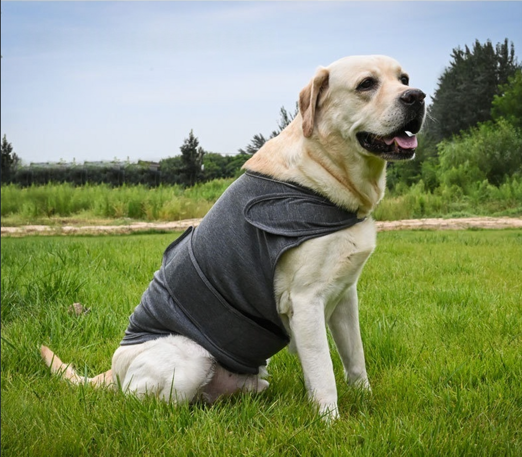 Premium Anti-Anxiety Dog Vest | Emotion-Calming Compression Jacket